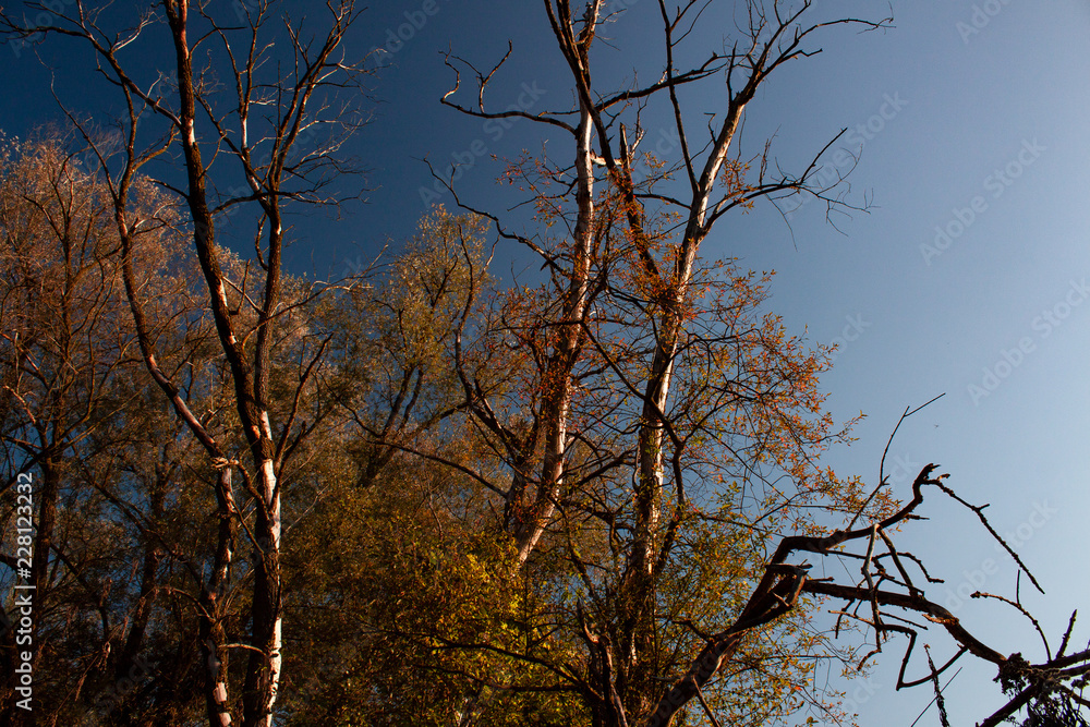 herbst herbst