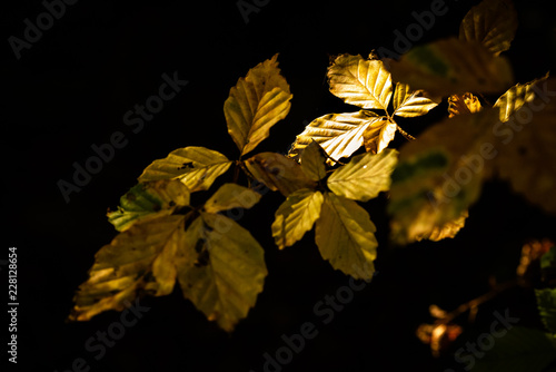 Ombre et lumière 3
