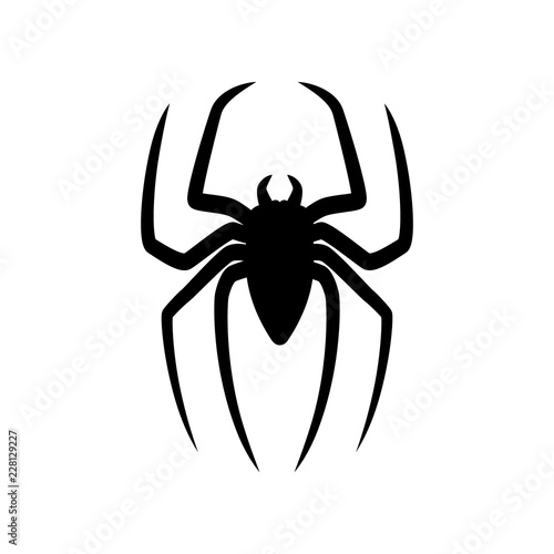 Spider silhouette isolated on white background. Scary with long paws.