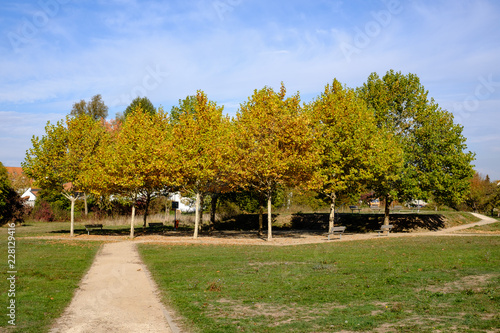 Herbstliche Baumgruppe