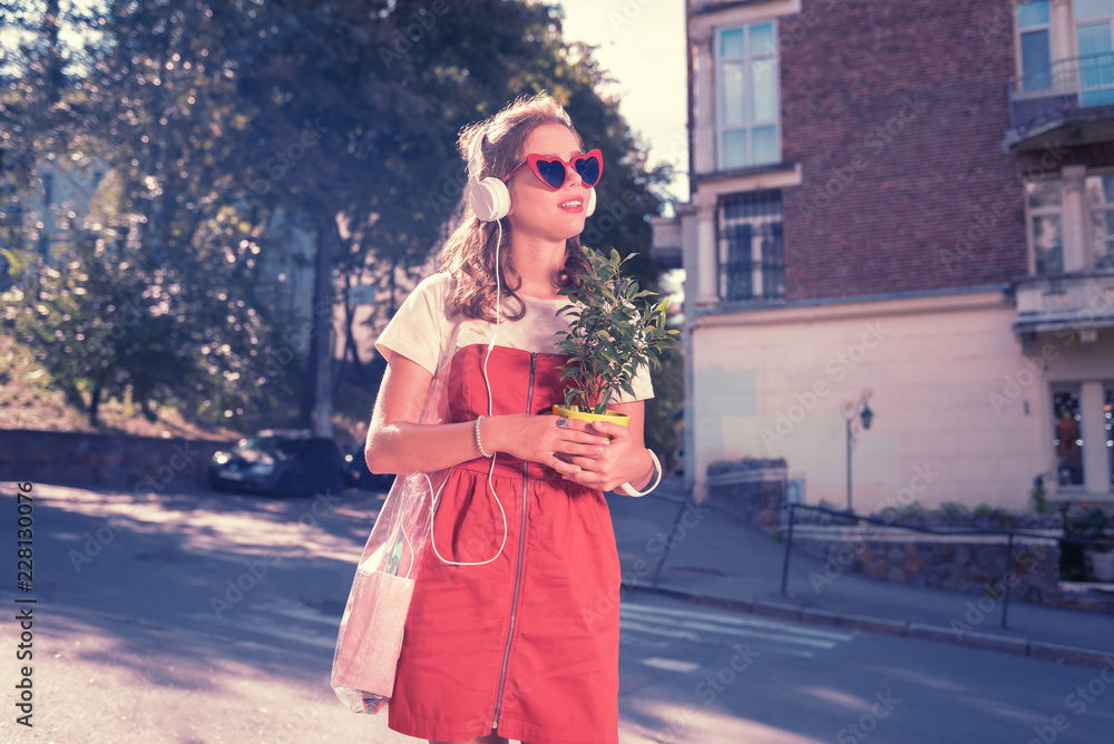 Obraz premium Beautiful shopaholic. Beautiful shopaholic feeling happy and satisfied while crossing street with new home plant