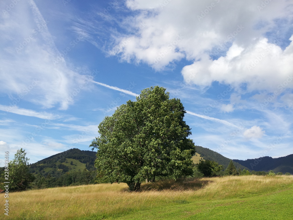 Obraz premium Unterammergau, Bayern, Oberbayern, Berge Baum, Wolken