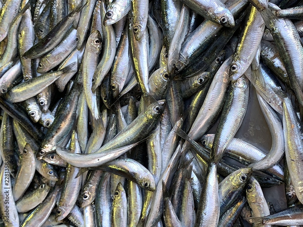 Roher Fisch auf dem Fischm Roher Fisch auf dem Fischm
