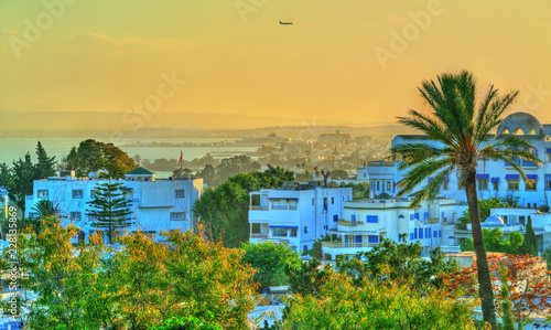 View of Sidi Bou Said, a town near Tunis, Tunisia