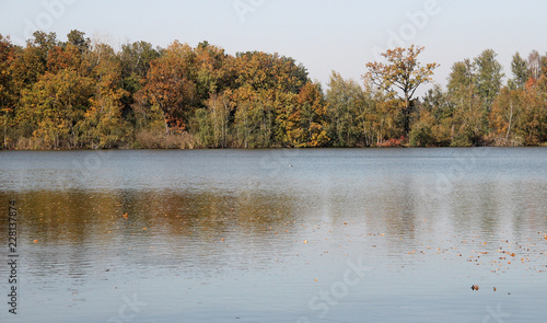 autumn landscape with lake and trees