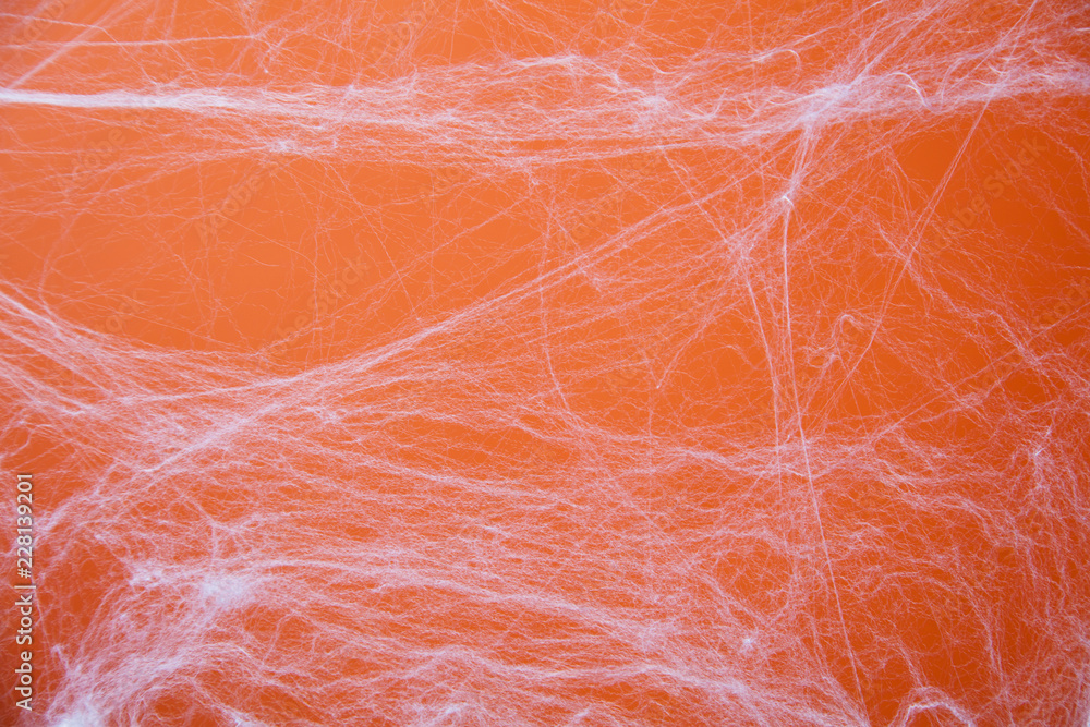 Halloween creepy cobweb spiders web with an orange background Halloween creepy cobweb spiders web with an orange background