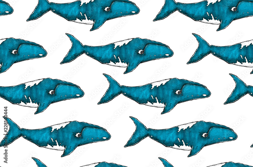 Seamless texture with beautiful hand drawn whale. Repeating pattern. Can be used as wallpaper, desktop, wrapping, fabric or background for your blog, covers, cards. Seamless texture with beautiful hand drawn whale. Repeating pattern. Can be used as wallpaper, desktop, wrapping, fabric or background for your blog, covers, cards.