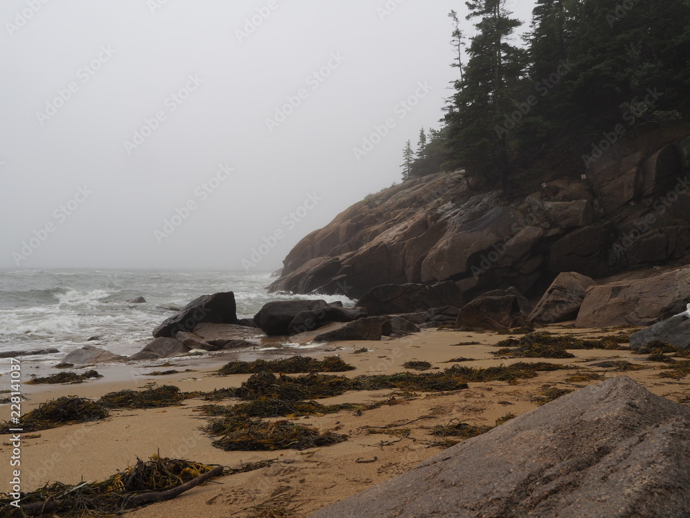 Vernebelte Küste am Sand Beach, Maine