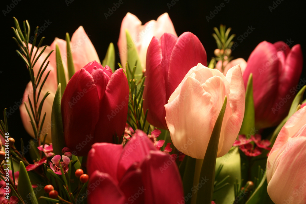Naklejka premium Blumenstrauss aus roten und pinken Tulpen