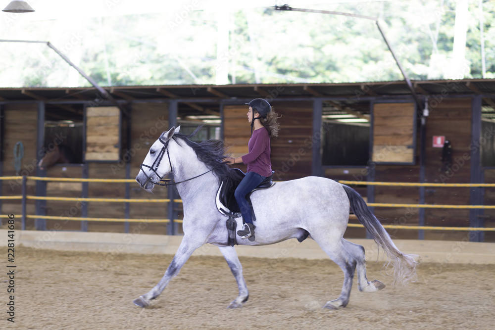 Beautiful Teenager Riding a Horse Beautiful Teenager Riding a Horse