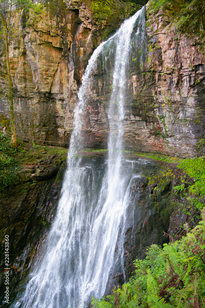 under big jungle waterfall Giant. tropical landscape of Abkhazia. Vertical