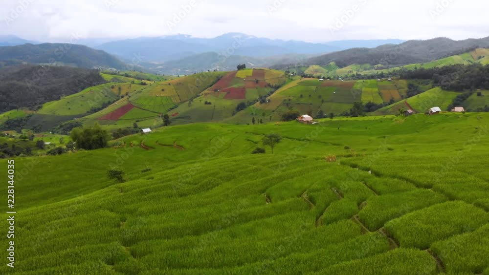 Rice Terrace, aerial view Rice Terrace, aerial view