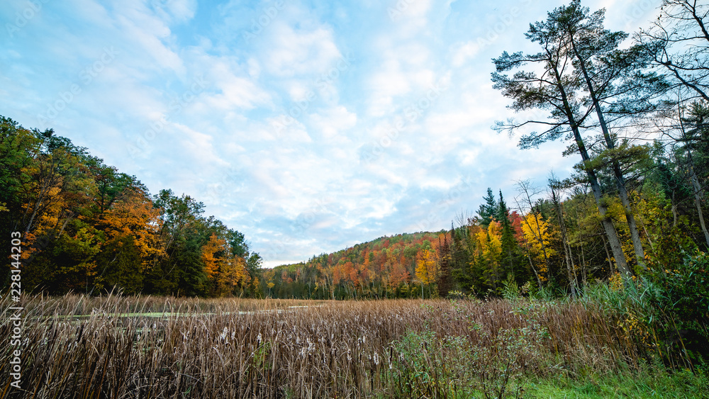 autumn landscape with trees and blue sky autumn landscape with trees and blue sky