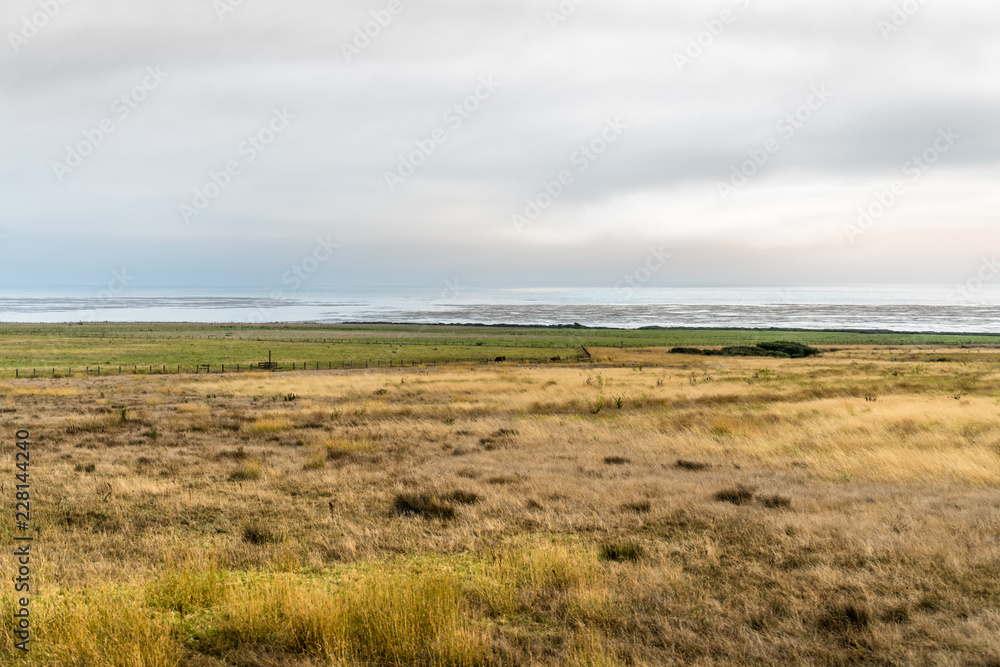 Seaside farm meadows