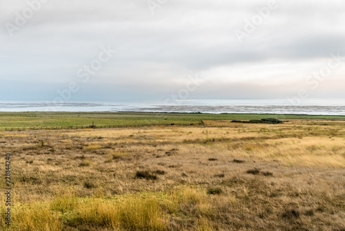 Seaside farm meadows