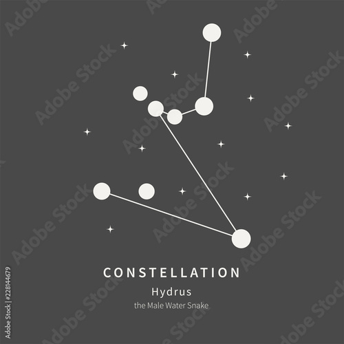 The Constellation Of Hydrus. The Male Water Snake - linear icon. Vector illustration of the concept of astronomy.