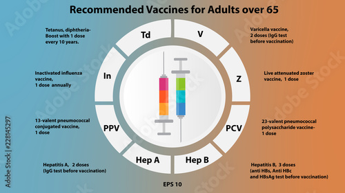 Vector  infographic recommended adult 65 vaccinastion 4