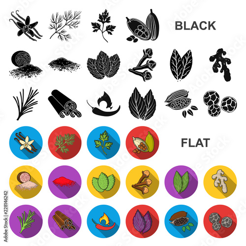 Herb and spices flat icons in set collection for design.Different kinds of seasonings vector symbol stock web illustration.