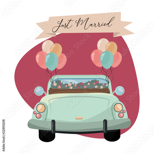 just married cartoon