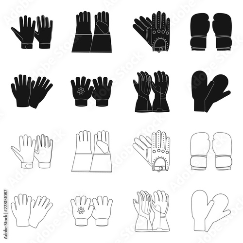 Isolated object of glove and winter sign. Collection of glove and equipment stock symbol for web.