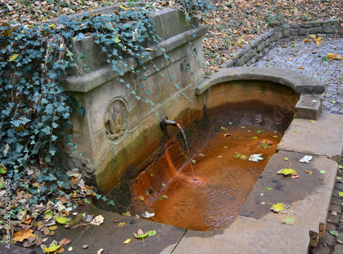 Brunnen im Wald