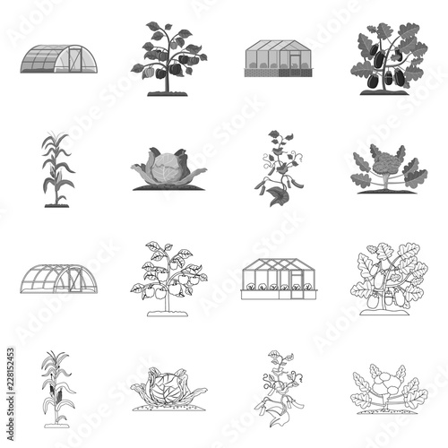 Isolated object of greenhouse and plant icon. Set of greenhouse and garden stock vector illustration.