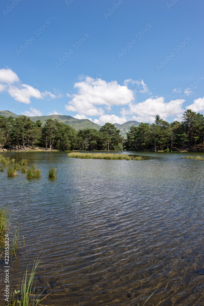 Fototapeta premium The bassa lake of oles in the Aran Valley