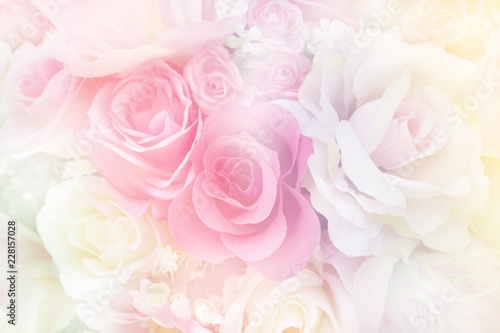 Rose flowers