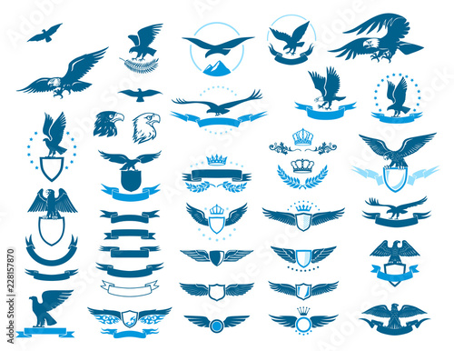 Eagle Insignia Set