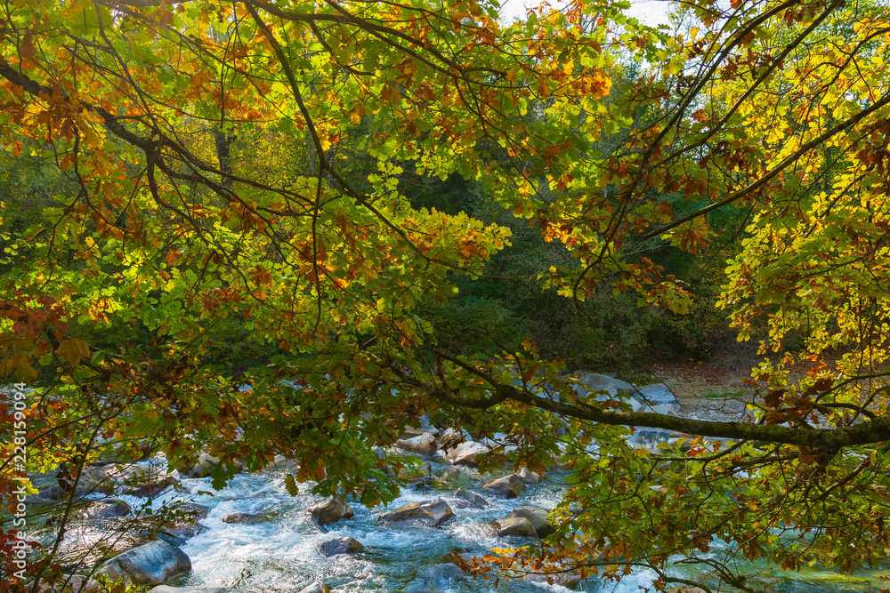 Fabige Blätter am Wasser am Bach Fabige Blätter am Wasser am Bach