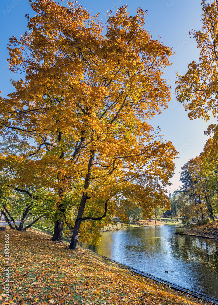Sunny autumnal day in central public park of Riga - capital of Latvia and famous tourist city in Baltic region Sunny autumnal day in central public park of Riga - capital of Latvia and famous tourist city in Baltic region