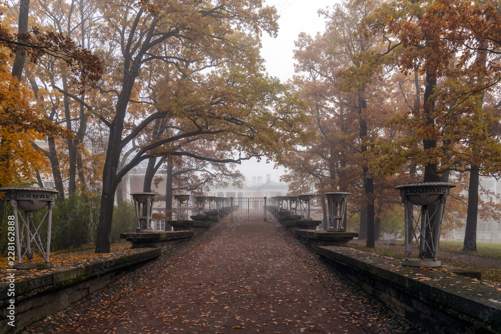 Foggy autumn morning in Catherine Park, Pushkin, St. Petersburg, Russia