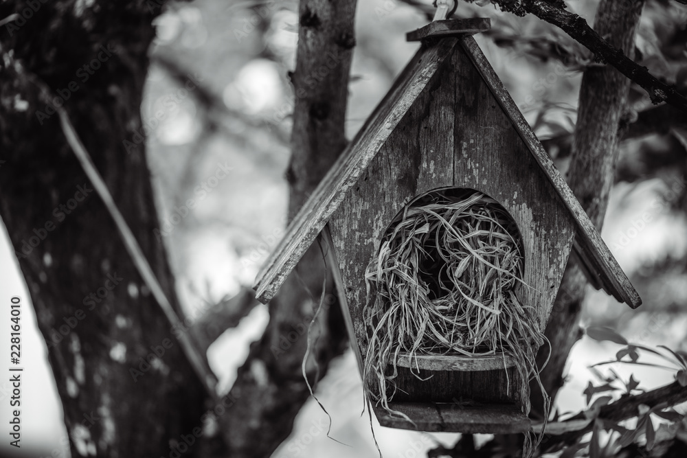 Wooden Bird House On Tree Wooden Bird House On Tree
