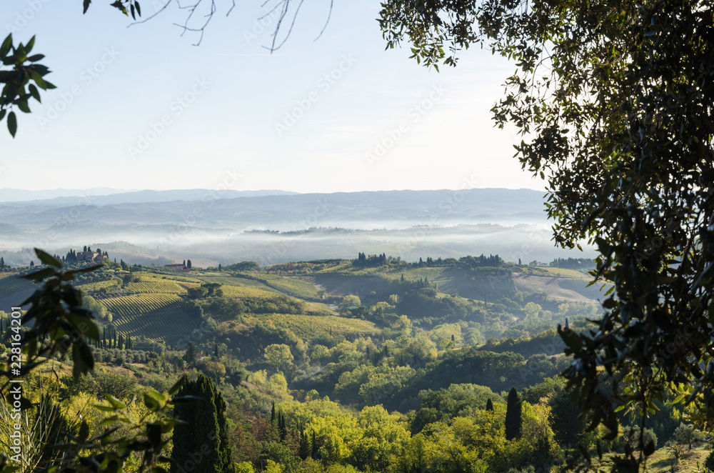 Obraz premium Beautiful morning in Tuscany, Italy