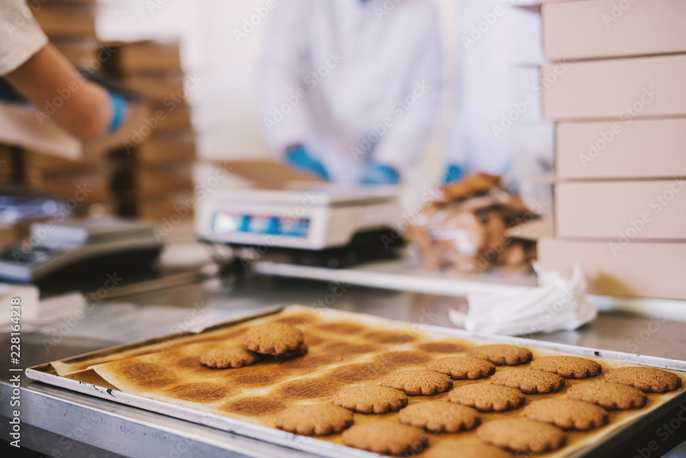 Close up of tray full of fresh baked cookies in food factory. Blurred picture of two male employees in sterile clothes packing cookies in background.