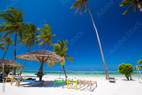 Zanzibar  landscape sea  palms beach