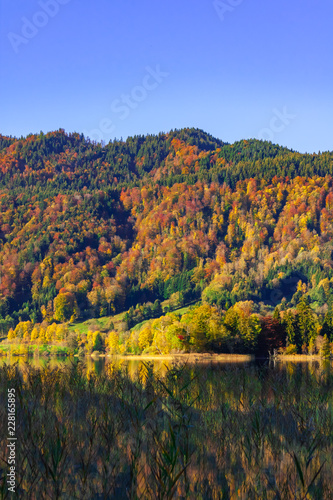 The joy of autumn colors in the Bavarian mountains.