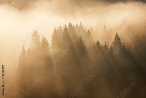 Geroldsee forest during autumn day over mountain peaks, Bavarian photo