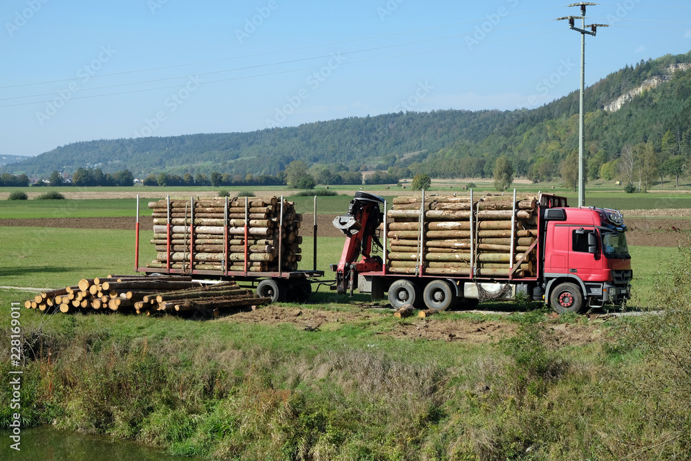 Holzwirschaft in Bayern