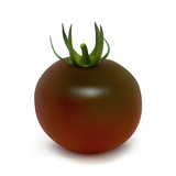 Black tomato kumato varieties on a white background. Photo-realistic vector illustration.