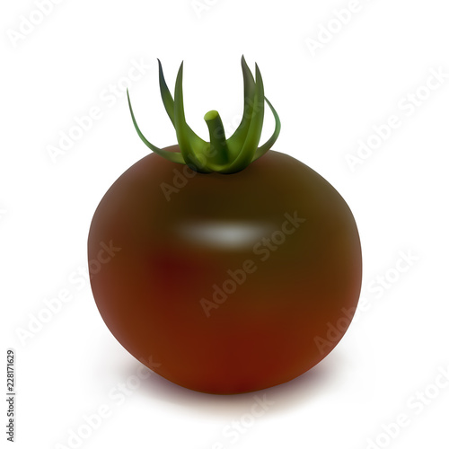 Black tomato kumato varieties on a white background. Photo-realistic vector illustration.