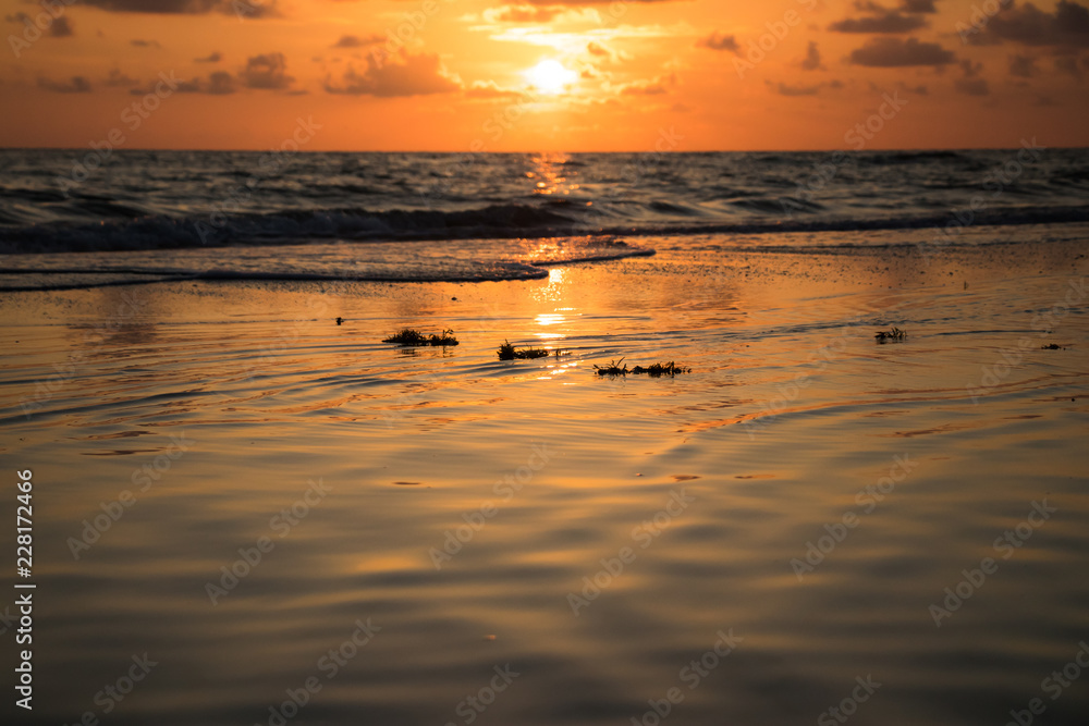 Seaweed drifting on top ocean ripples during sunset low tide