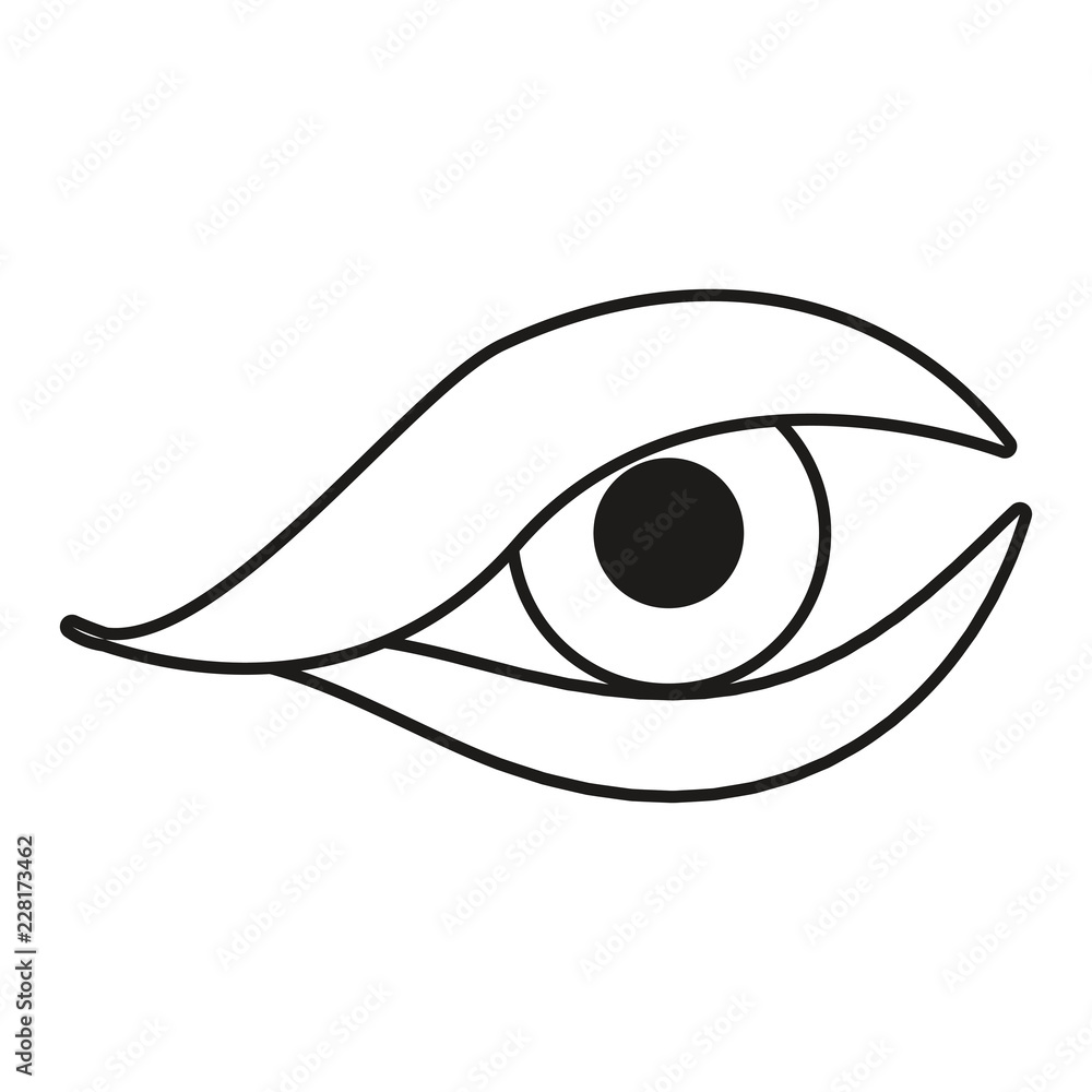 human eye isometric on white background human eye isometric on white background
