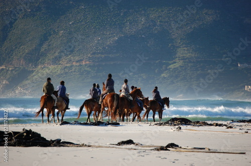 Horse riders at the beach  South Africa  Cape Town