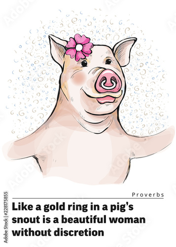 Series of postcards with a piggy. Proverbs and sayings. Like a gold ring in a pig s snout is a beautiful woman without discretion. A pig woman with an amiable look. In a nose is ring. Watercolor style
