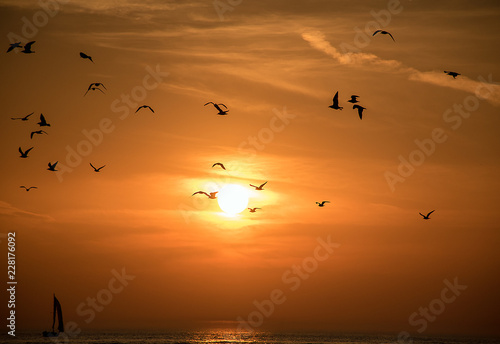 silhouette of seagulls in sunset sky over Lake Michigan water with sailboat