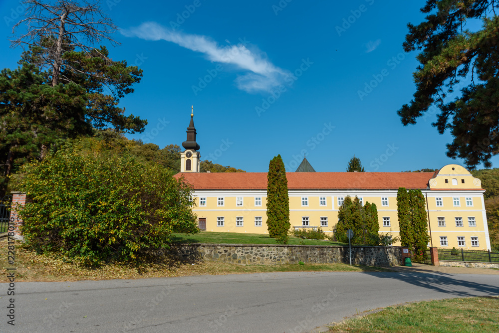 a beautiful medieval monastery on the slopes of the mountain surrounded by forests