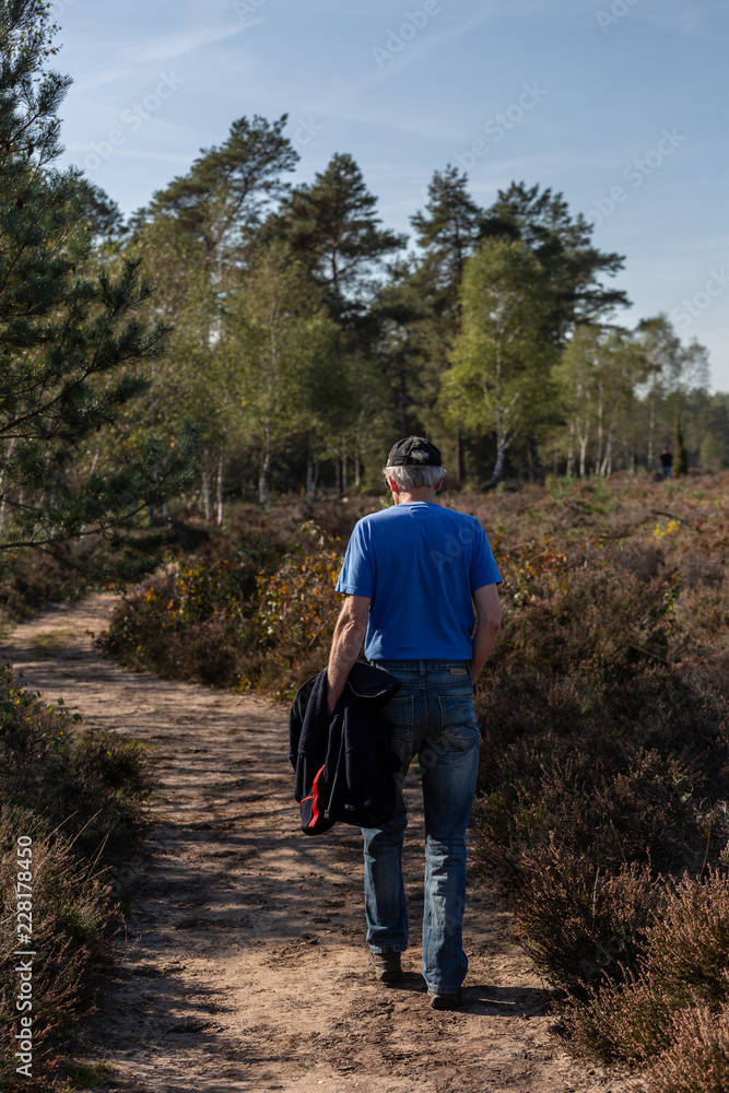 Solitary senior citizen on a meandering dirt path through a moorland landscape passing with a pine forest in the background