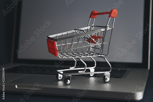 Mini shopping cart full of homeopathic remedies on laptop background. Homeopathy and internet online shopping concept.