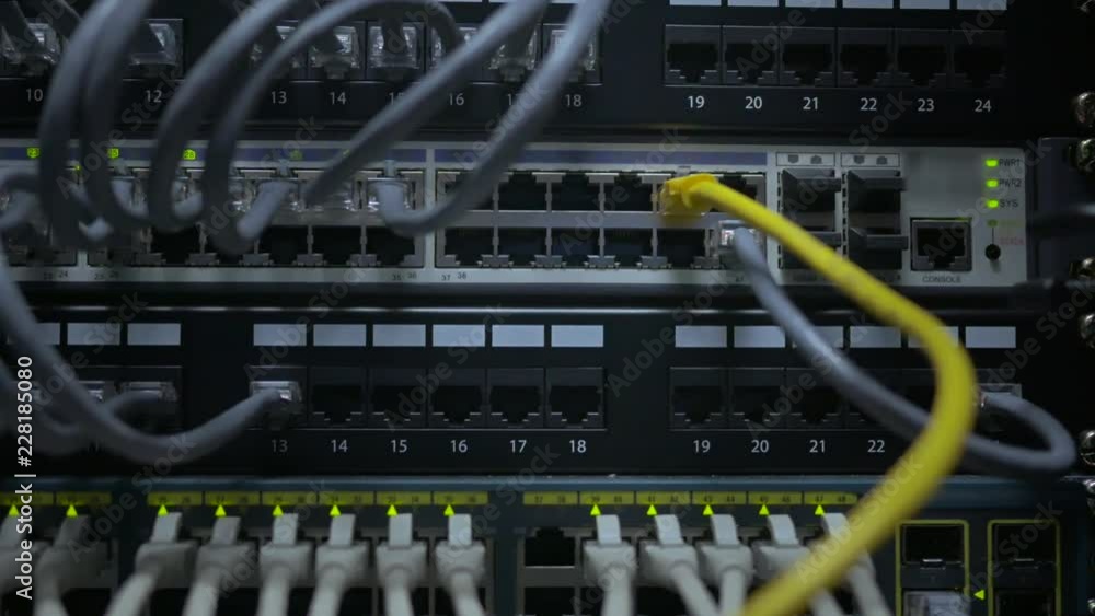 an IT engineer's hand plug in the network cable to the network switch an IT engineer's hand plug in the network cable to the network switch